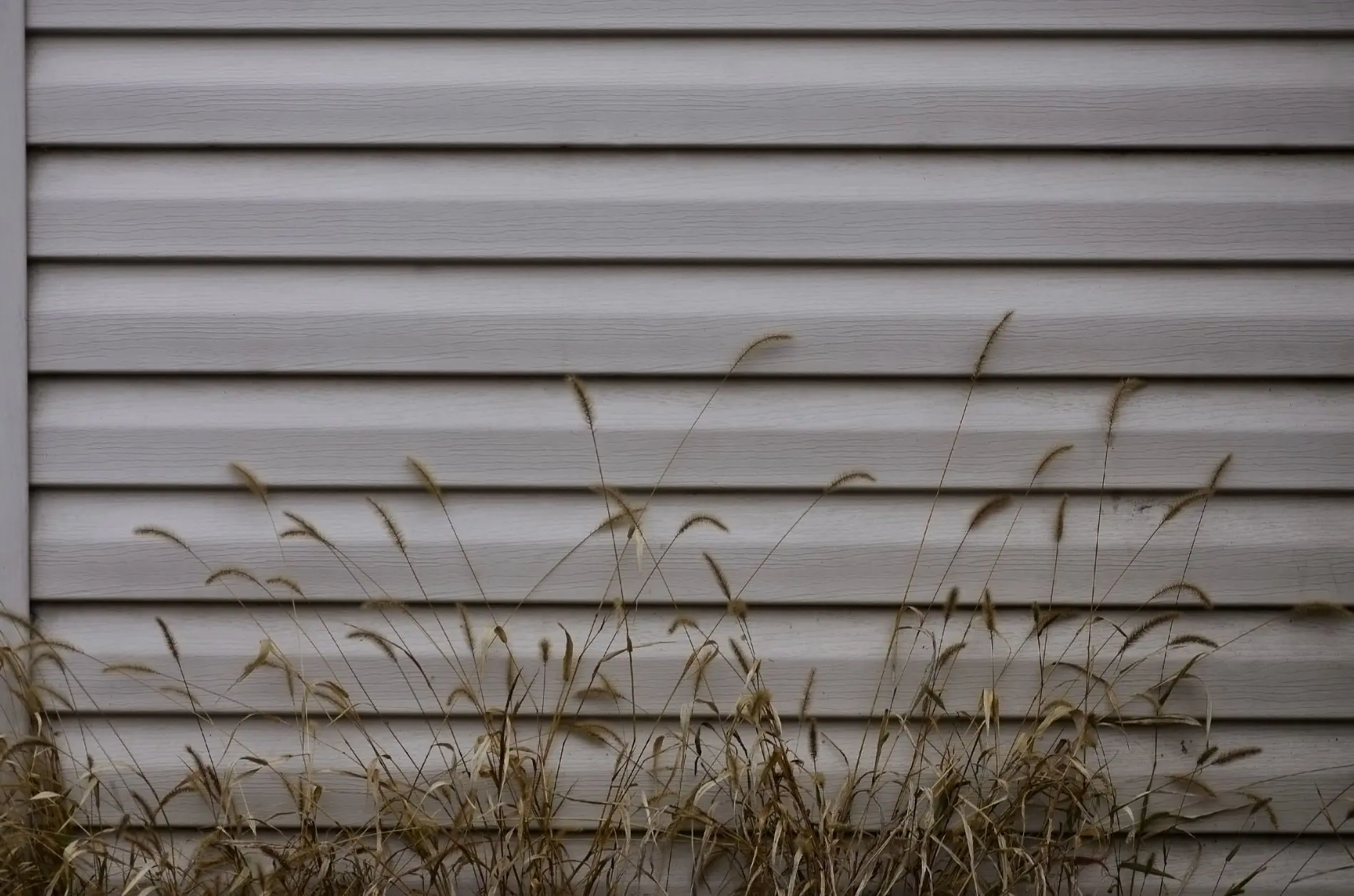 Siding repair services