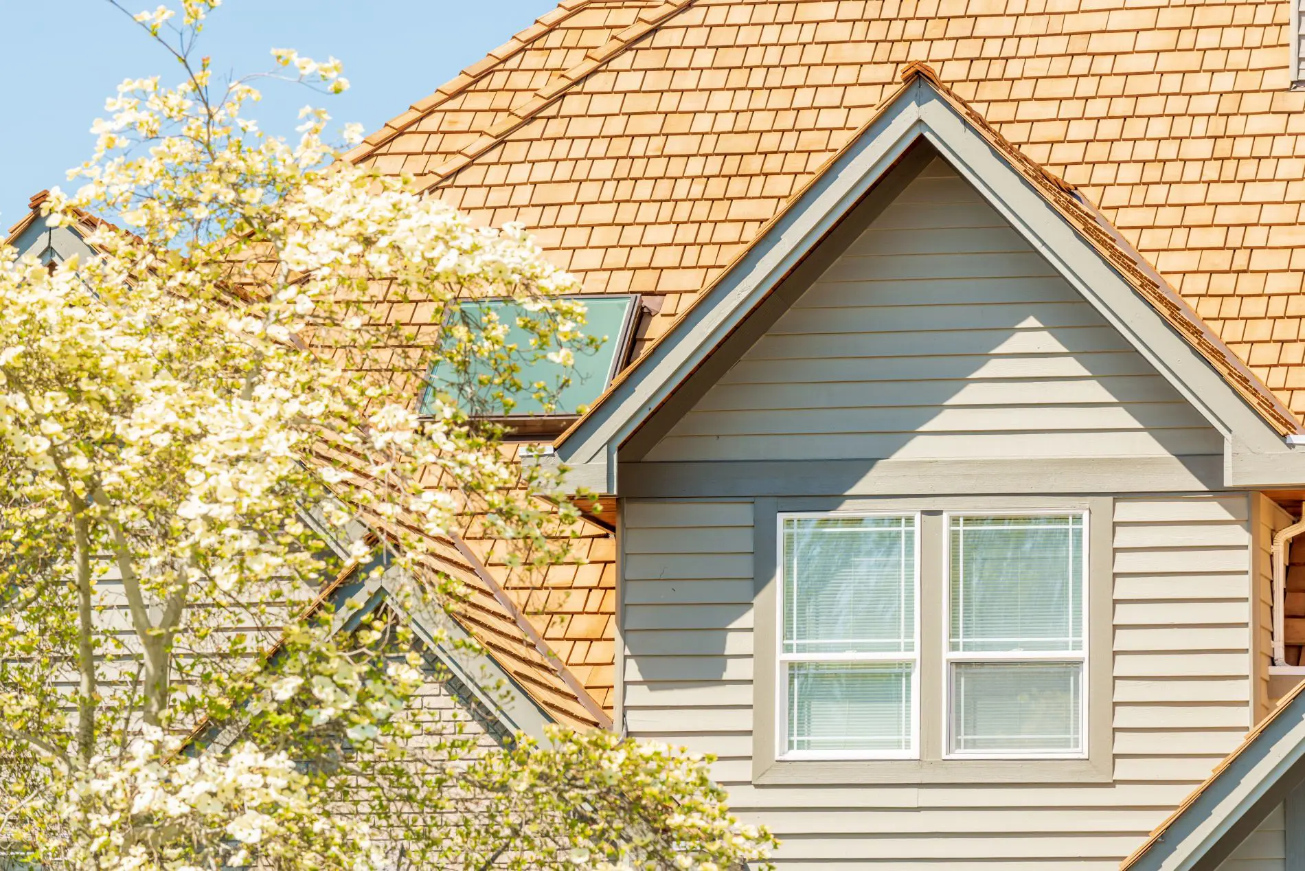 Siding replacement services